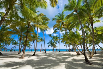 Fototapeten Strand Tropical beach in Caribbean sea, Saona island, Dominican Republic  © Mariusz Świtulski