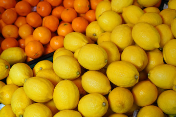 lemons and tangerines on the market