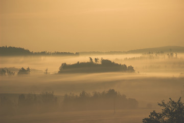 Fototapeta premium Sunset Field Fog Landscape.