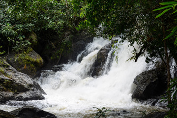 KHAO YAI NATIONAL PARK, THAILAND, OCTOBER 23, 2017: Beautiful view of the Khao Yai National Park