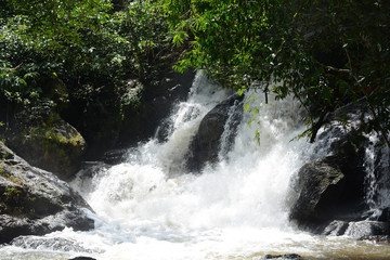 Fototapeta premium Park Narodowy Khao Yai, Tajlandia, 23 października 2017: Piękny widok na Park Narodowy Khao Yai