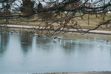 sugar house park in salt lake city
