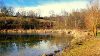 schönes natürliches Biotop am Gültlinger See im Schwarzwald