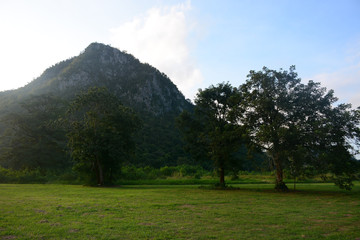 KHAO YAI NATIONAL PARK, THAILAND, OCTOBER 23, 2017: Beautiful view of the Khao Yai National Park