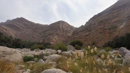 Oman