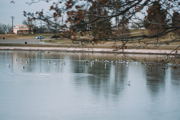 sugar house park in salt lake city
