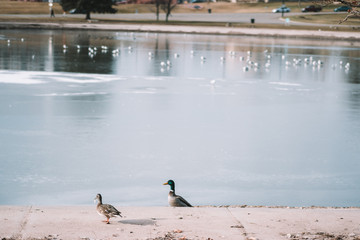 sugar house park in salt lake city
