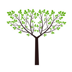 Vector Tree and green Leaves. Vector Illustration and graphic element. Plant in Garden.