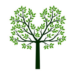 Vector Tree and green Leaves. Vector Illustration and graphic element. Plant in Garden.