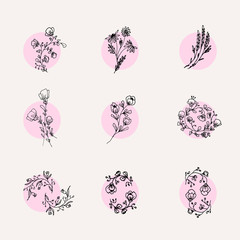 Hand Drawn Minimalistic and Floral Template for photographer, fashion blogger, design studio, interior design. Branding identity collection . Floral feminine element. flowers clipart
