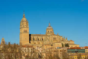 Fototapeta na wymiar Catedral barroca española