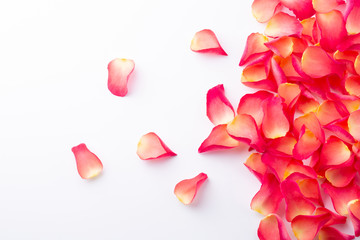 Petal on white background. Romantic concept for Valentine Day or Birthday. Top view. Space for text. 