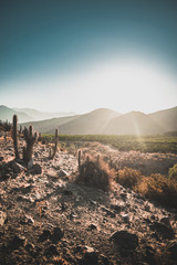 paisaje del valle del Elqui al atardecer