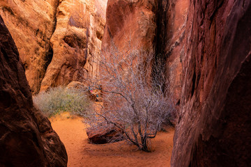 Arches National Park, Moab, Utah