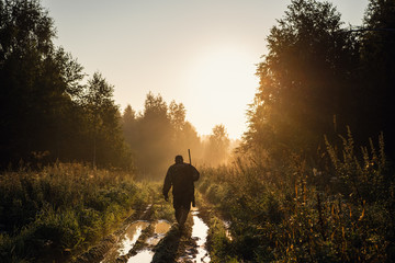Fototapeta Summer hunting at sunrise. Hunter moving With Shotgun and Looking For Prey. obraz