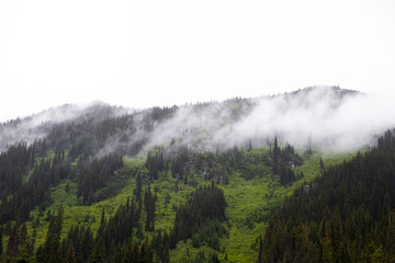 Mist on mountain in British Columbia