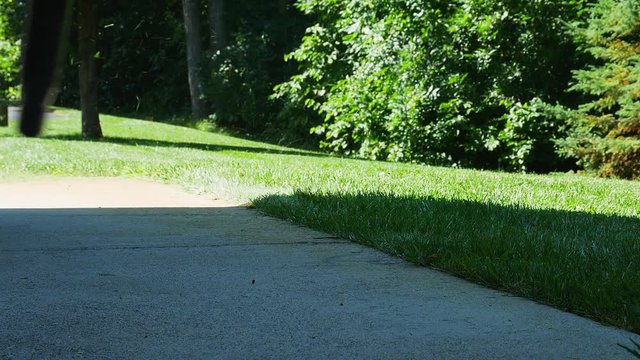 Leaf blower is used by female gardener to blow the grass clippings from the sidewalk after the lawn has been mowed.
