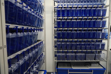 Biomedical research lab with lots of small aquariums. Animal research. An experiment in fish for research purposes.