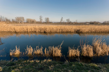 Main Channel of the Danube valley near Szabadszallas in Hungary