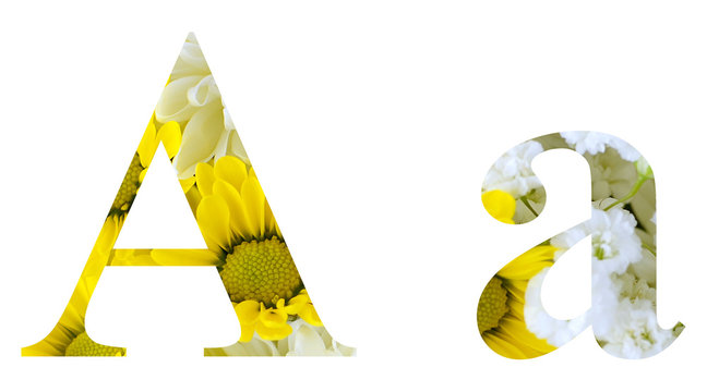 Capital, or upper case, and lower case letter of the English alphabet. Text cutout floral motiff with various yellow and white chrysanthemums and baby's breath