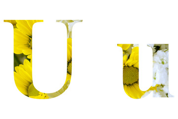 Capital, or upper case, and lower case letter of the English alphabet. Text cutout floral motiff with various yellow and white chrysanthemums and baby's breath