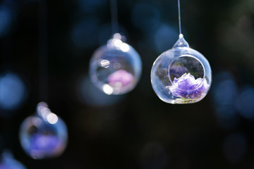 Decor details with fresh flowers. Flower buds in glass beads suspended in the air
