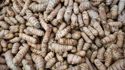 Fresh Raw Turmeric (Curcuma Longa) on sale on local market, used in cooking and making curries