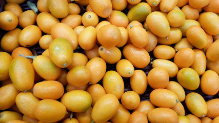 Fresh raw Kumquat (Citrus Japonica) on sale on local market, literally meaning golden orange