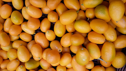 Fresh raw Kumquat (Citrus Japonica) on sale on local market, literally meaning golden orange