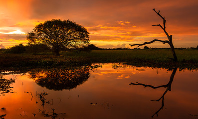 sunset over the lake