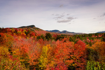 Fall foliage in the white mountains from Hancock overlook