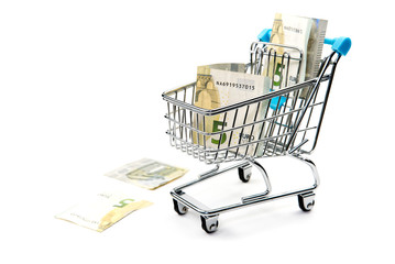 shopping cart full of euro banknotes isolated on white. Concept: loan, investment, pension, saving...