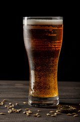 beer bottle on black background with glass of beer