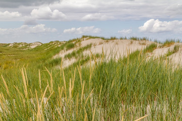 beach scenery at Spiekeroog