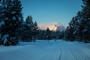 A road winds through the snowy trees in Grand Teton National Park. 