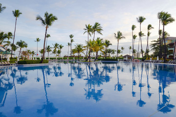 Obraz premium Calm Pool with Palm trees