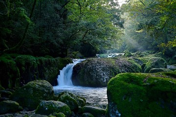 初秋の菊池渓谷の情景＠熊本