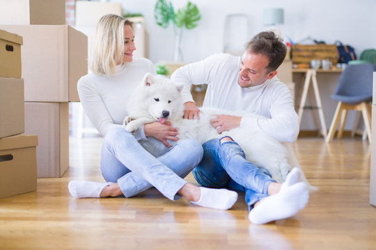 Young beautiful couple with dog sitting on the floor at new home around cardboard boxes