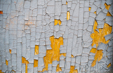 Texture cracked paint, old wooden door. Blue background