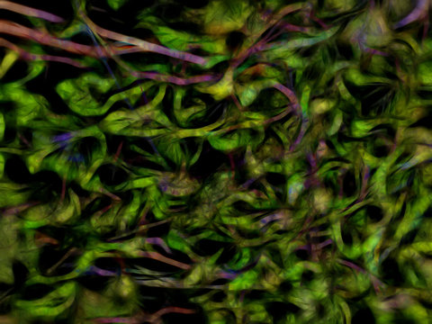 Green Leaves Pattern