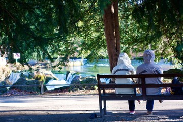 A couple wearing winter jackets is sitting on a bench beneath a coniferous to look at a waterfall by a cold winter day