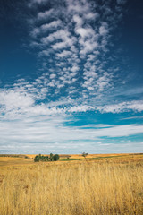 Campo rural y cielo con nubes