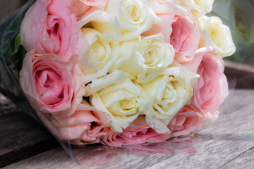 Valentine day and Beautiful Rose