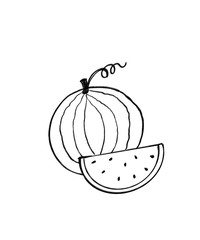 illustration of water melon fruits coloring for children