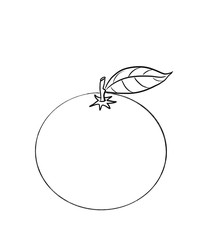 vector illustration of apple coloring for children