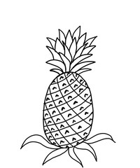 Illustration of pineapple black and white coloring for children
