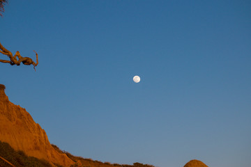 moon in the sky