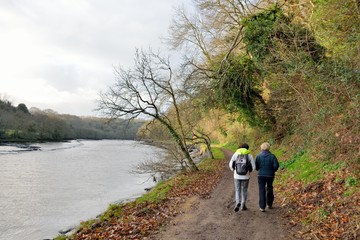 Group of retired hikers on a path in Brittany. France