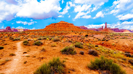 Hiking Trails through the Red Sandstone Buttes and Pinnacles in the semi desert landscape in the Valley of the Gods State Park near Mexican Hat, Utah, United States