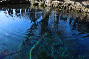 【山梨県 観光名所】忍野八海の湖面